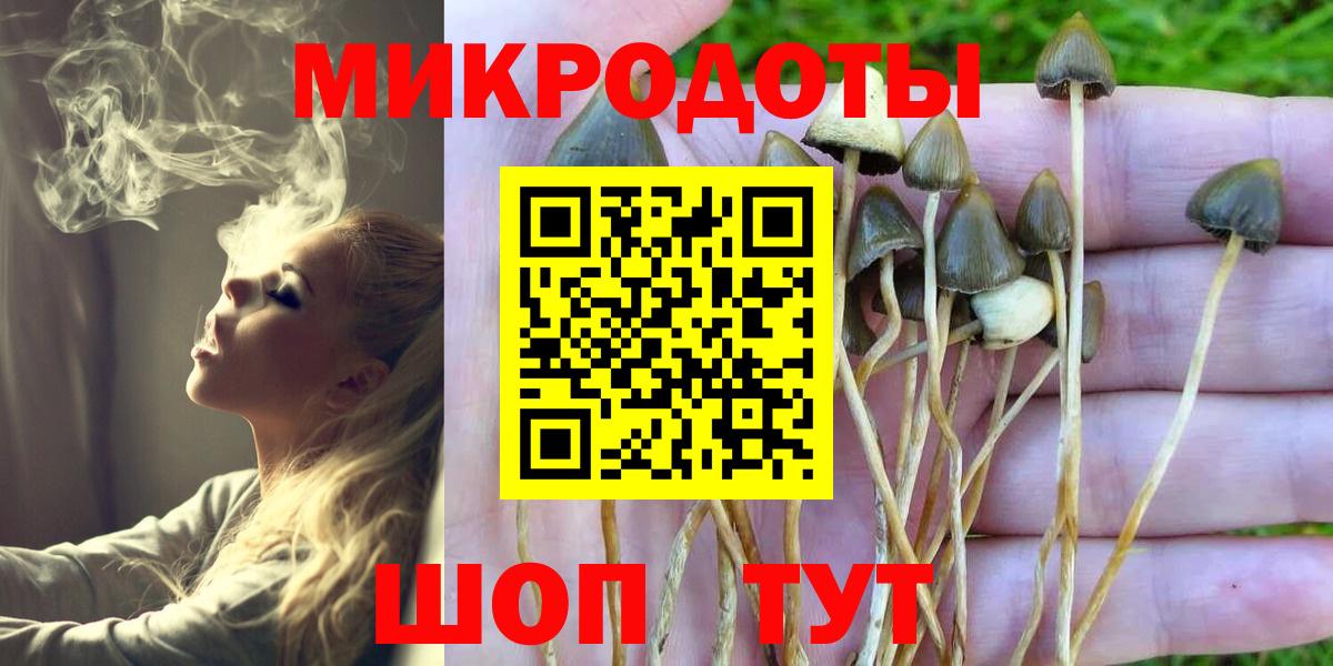 Галлюциногенные грибы Psilocybe Урай